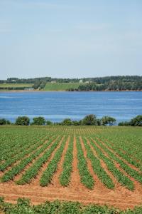 Afbeelding uit fotogalerij van Greenwich View Cottages (Unit #1 - Duplex) in Saint Peters