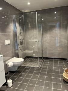 a bathroom with a shower and a toilet at Helgatunlia - Leilighet 2 in Vossevangen +22 photos