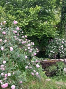 Gallery image of Georgerock in Grimaldi