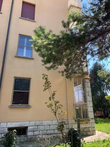 a building with a tree in front of it at Appartamento luna, vicino centro storico in Spilimbergo +15 photos