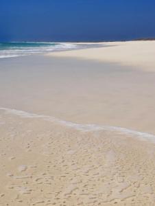Spiaggia vicina o nei dintorni dell'appartamento