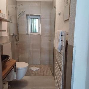 a bathroom with a shower and a toilet and a sink at Ferienwohnung Haus Bleser in Cochem