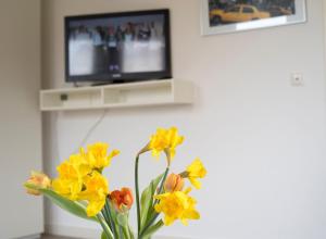 TV a/nebo společenská místnost v ubytování Frauenpreiss - Wohnung 54
