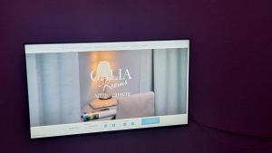TV a/nebo společenská místnost v ubytování Galia rooms self check in H24