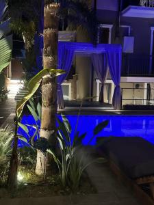 a house with a palm tree in front of a pool at Villetta de Mar in Civitanova Marche