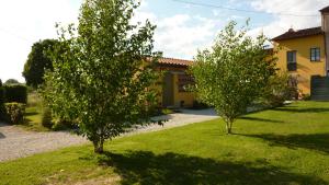 two trees in a yard next to a house at Il Nido in Lucca