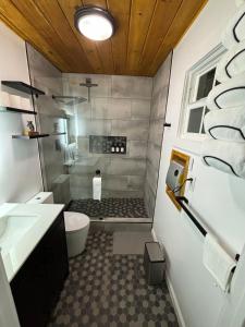 Green Valley LakeにあるThe Honey Bear Cabin Jacuzzi EV Friendly Renovatedのシャワー、トイレ、洗面台付きのバスルーム