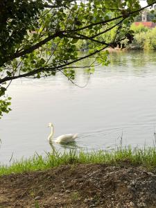 Gallery image of Apartmani Una Lux2 in Spilja