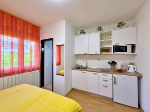 Η κουζίνα ή μικρή κουζίνα στο Apartments with parking space Silo, Krk - 18724