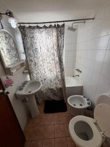 a bathroom with a toilet and a sink and a shower at Apartamento Pacífico Downtown Inn in Bahía Blanca
