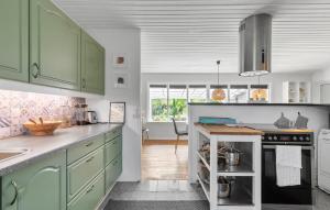 a kitchen with green cabinets and a stove at 3 Bedroom Beautiful Home In Gilleleje in Gilleleje
