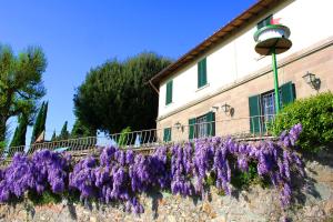 Un mucchio di fiori viola appesi a un muro di Fattoria La Tavernuzza a Grassina