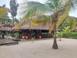Κήπος έξω από το Cabaña frente al mar en la playa del Calao