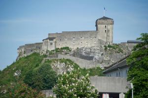 a large castle on top of a mountain at Hôtel Esplanade Eden in Lourdes