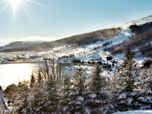 Příroda nedaleko apartmánu