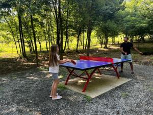 a little girl playing with a ping pong table at Gurgeniani Twin Cottages in Lagodekhi +11 photos
