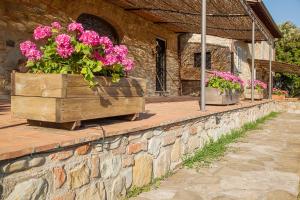 Vonkajšia záhrada v ubytovaní La Casa di Thea - Flo Apartments