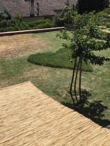 Vonkajšia záhrada v ubytovaní La Casa di Thea - Flo Apartments