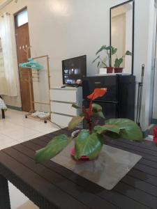TV a/nebo společenská místnost v ubytování GGGO RESIDENCES, Studio 103, King