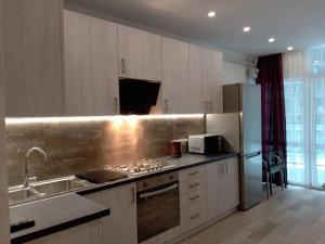 Kuchyň nebo kuchyňský kout v ubytování AVALON Apart-Hotel