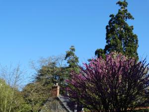 Um jardim em Castel Fleuri