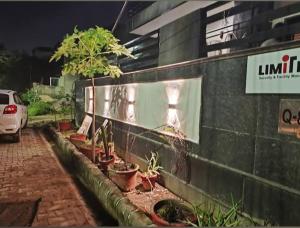 グルガオンにあるGlobal luxury stayの鉢植えの集団
