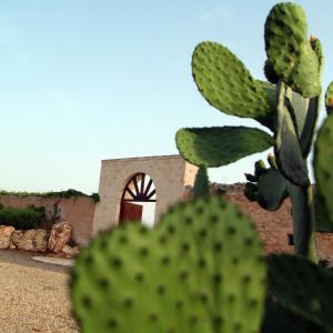 a cactus in front of a building with a door at Hotel Masseria Tutosa in Ostuni