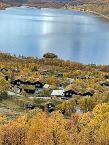 Naturlandskabet i nærheden af feriehuset