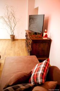 Televízia a/alebo spoločenská miestnosť v ubytovaní Apartament Bukowe Wzgórze