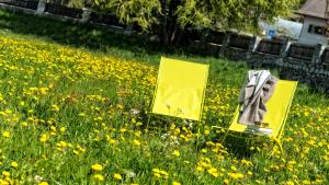 two mirrors sitting in a field of flowers at Niedermairhof in Brunico