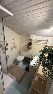 a bathroom with a toilet and a sink at Villa Indépendante tout confort Soustons Plage Golf à 900m wifi Bbq in Soustons +25 photos