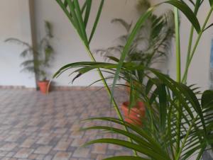 Fotografie z fotogalerie ubytování EESHA Inn - A Premium Home stay Near Temple v destinaci Rāmeswaram