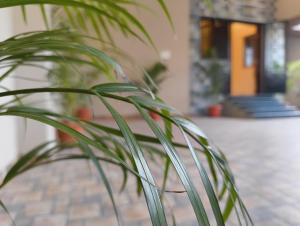 Zahrada ubytování EESHA Inn - A Premium Home stay Near Temple