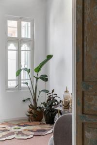 Fotografie z fotogalerie ubytování The Gem of Neve Tzedek Stylish Home by Sea N' Rent v destinaci Tel Aviv