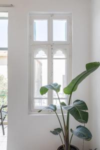 Fotografie z fotogalerie ubytování The Gem of Neve Tzedek Stylish Home by Sea N' Rent v destinaci Tel Aviv