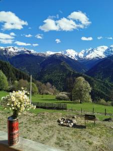 Paesaggio naturale nelle vicinanze dell'appartamento