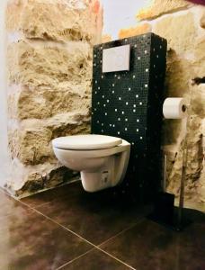 a bathroom with a toilet in a stone wall at Charmante Ferienwohnung 1 im Schmöllerhäuschen in Stadt Wehlen