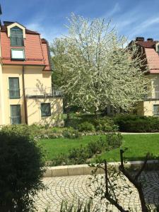 uma árvore com flores brancas em frente a uma casa em Ferienwohnung in Bad Saarow em Bad Saarow