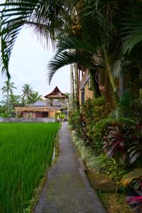 a path next to a rice field next to a house at Villa Hening Suite Ubud in Ubud