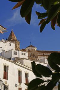Fotografia z galérie ubytovania Cortijo Lagar de Luisa v destinácii Borge