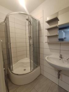 een badkamer met een douche en een wastafel bij Arzberger MonteurApartment in Arzberg +124 foto's