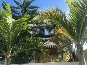 Um jardim no exterior de Relax and Recharge, Modern private apartment with private Rooftop