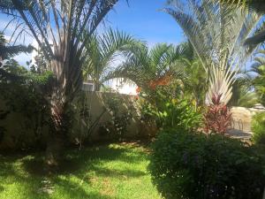 Um jardim no exterior de Relax and Recharge, Modern private apartment with private Rooftop
