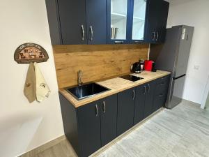 a kitchen with black cabinets and a sink at Casa Dana in Iaşi