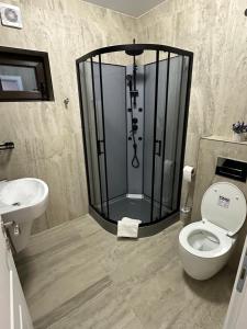 a shower in a bathroom with a toilet and a sink at Casa Dana in Iaşi +16 photos