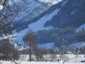 Apartment in Saalfelden near Ski Slopes v zime