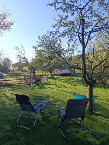 Zahrada ubytování Die Alm in Schöllbüchl - Zelt