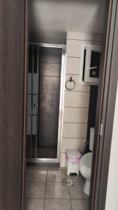 a small bathroom with a toilet and a shower at Apartman Dionis J in Skála Neón Epivatón +12 photos