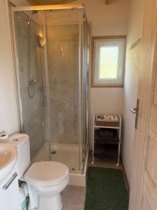 a bathroom with a shower and a toilet at Domki Letniskowe Kosewo in Kosewo +19 photos