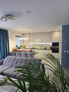 a living room with a purple couch and a kitchen at Luxury BROthers' Apartment in Alba Iulia